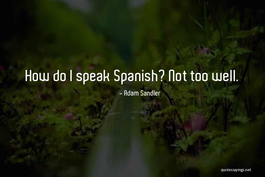 Olhares Online Quotes By Adam Sandler