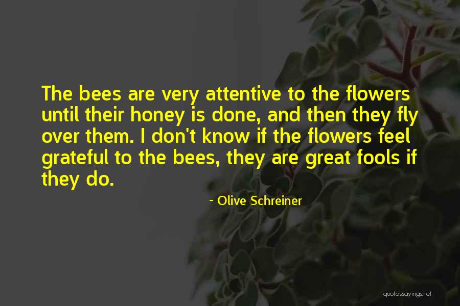 Olive Schreiner Quotes 211826