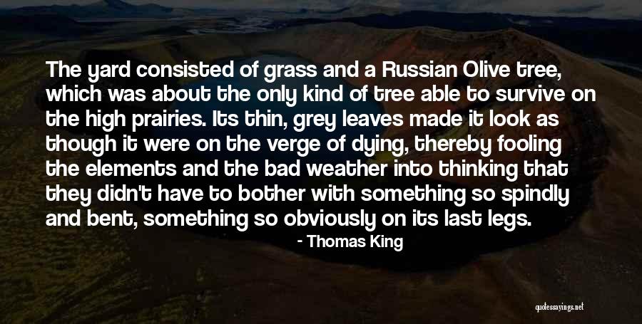 Olive Thomas Quotes By Thomas King Olive Thomas Quotes By Thomas King