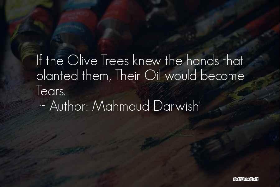 Olive Tree Quotes By Mahmoud Darwish