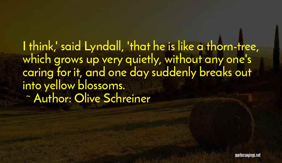 Olive Tree Quotes By Olive Schreiner