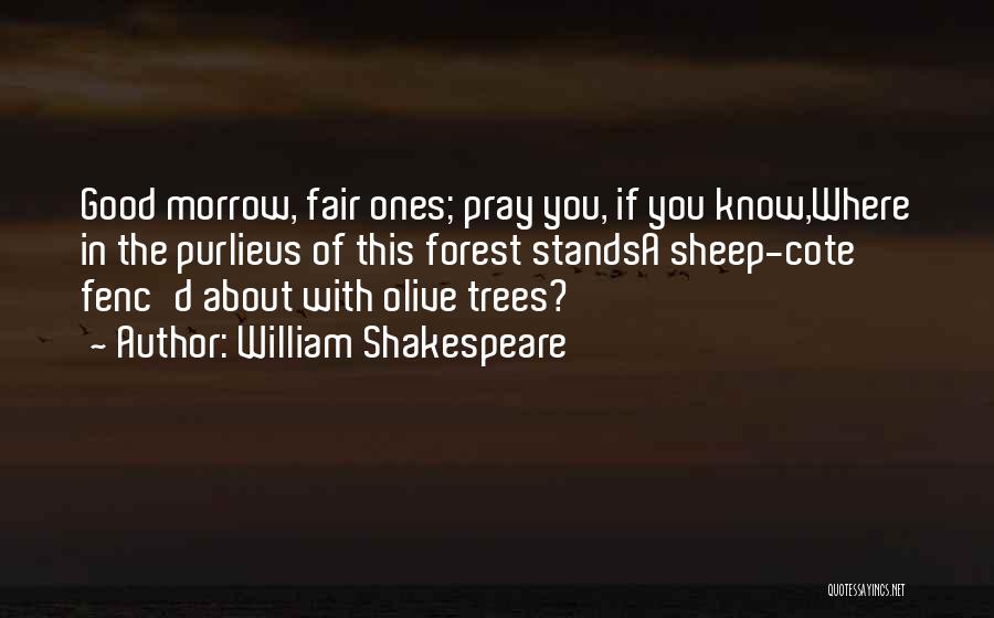 Olive Tree Quotes By William Shakespeare