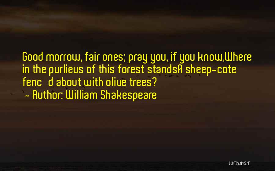 Olive Trees Quotes By William Shakespeare