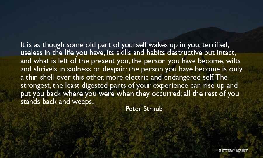 Oliveda Skin Quotes By Peter Straub