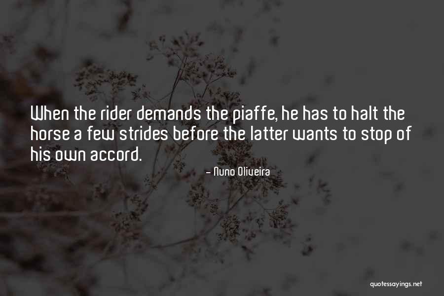 Oliveira Quotes By Nuno Oliveira Oliveira Quotes By Nuno Oliveira