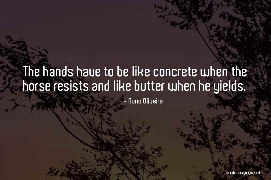 Oliveira Quotes By Nuno Oliveira Oliveira Quotes By Nuno Oliveira