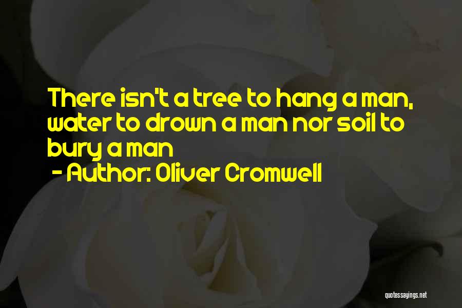 Oliver Cromwell Quotes 1090759