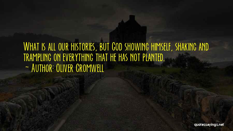 Oliver Cromwell Quotes 804279