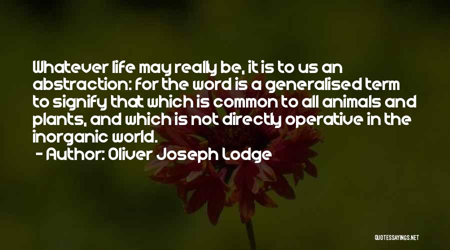 Oliver Joseph Lodge Quotes 1822748
