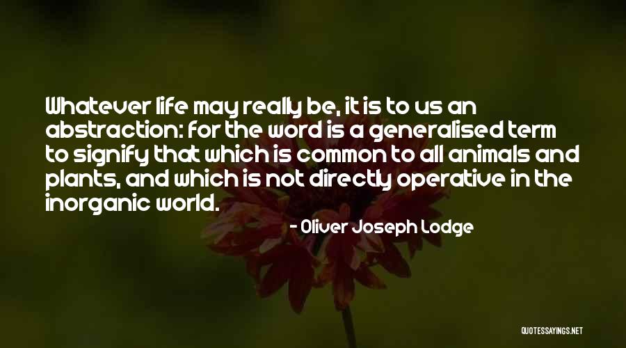 Oliver Joseph Lodge Quotes 1822748