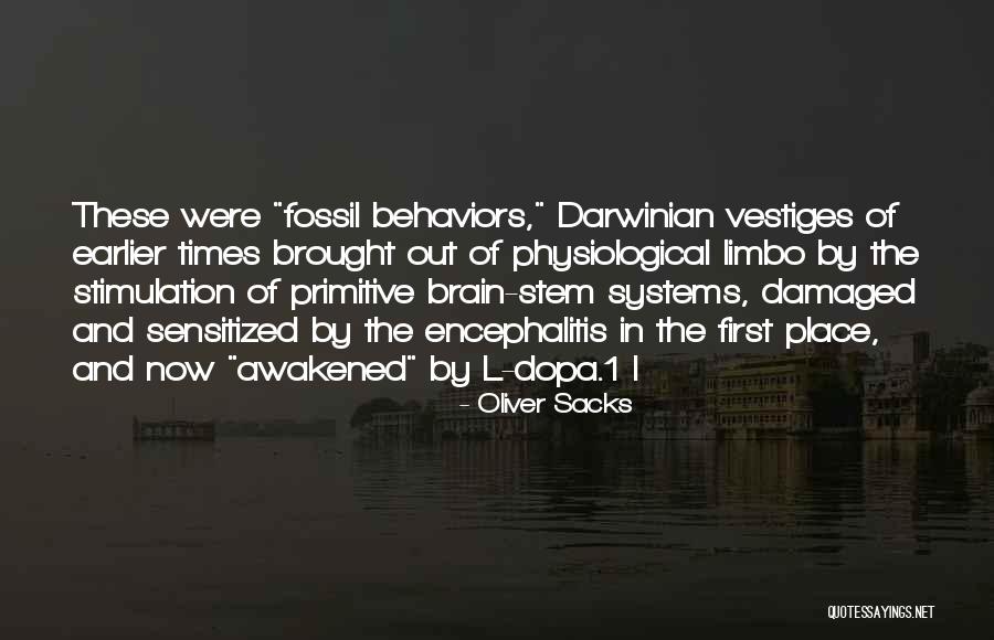 Oliver Sacks Quotes 1410893 Oliver Sacks Quotes 1410893