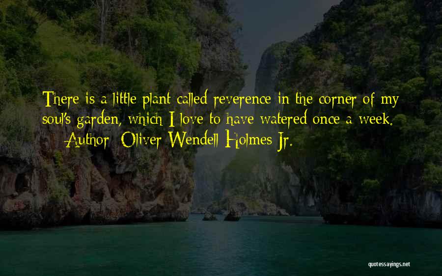 Oliver Wendell Holmes Jr. Quotes 1264749