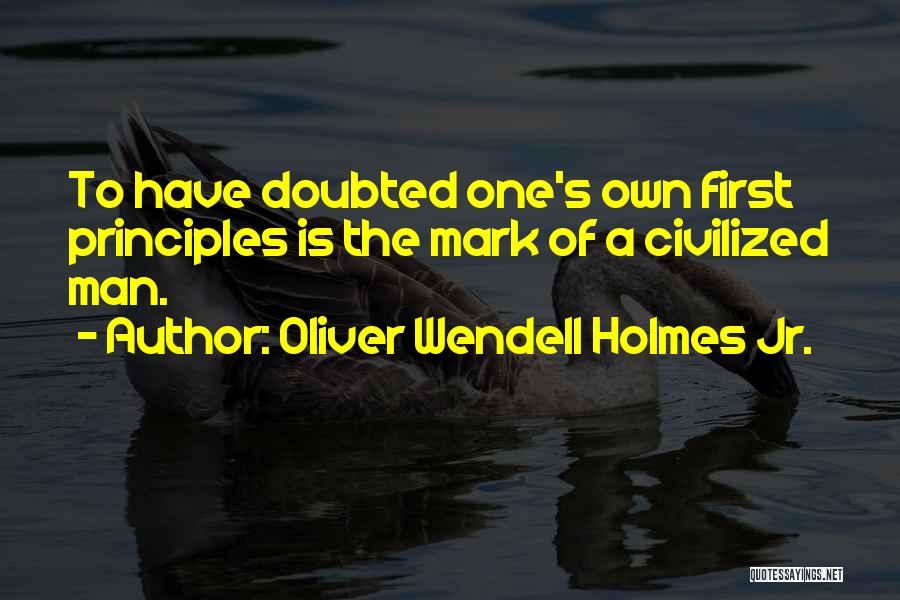 Oliver Wendell Holmes Jr. Quotes 1680667