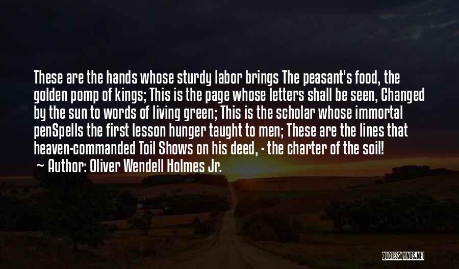 Oliver Wendell Holmes Jr. Quotes 663672