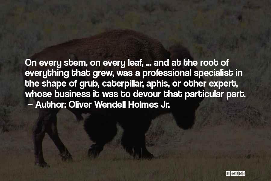 Oliver Wendell Holmes Jr. Quotes 772598