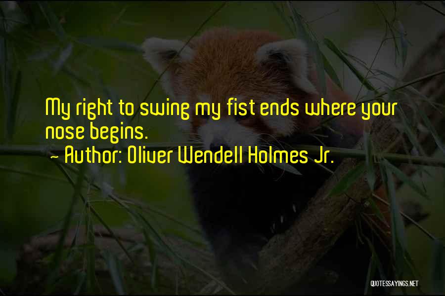 Oliver Wendell Holmes Jr. Quotes 874213
