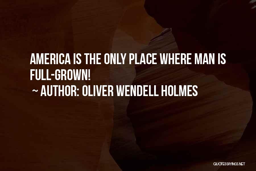 Oliver Wendell Holmes Quotes 1078133