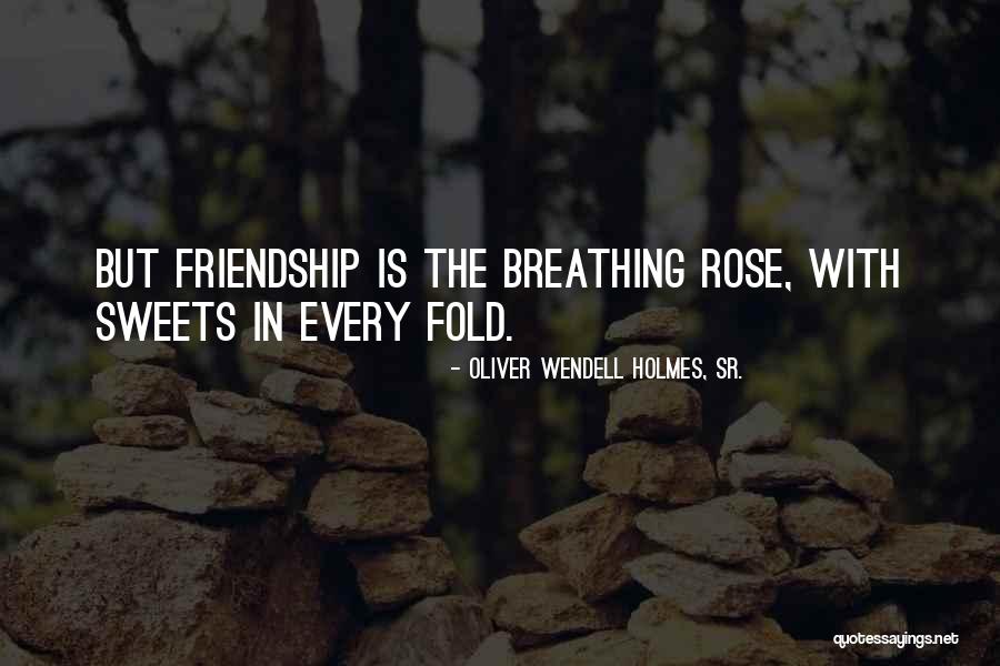 Oliver Wendell Holmes, Sr. Quotes 120149