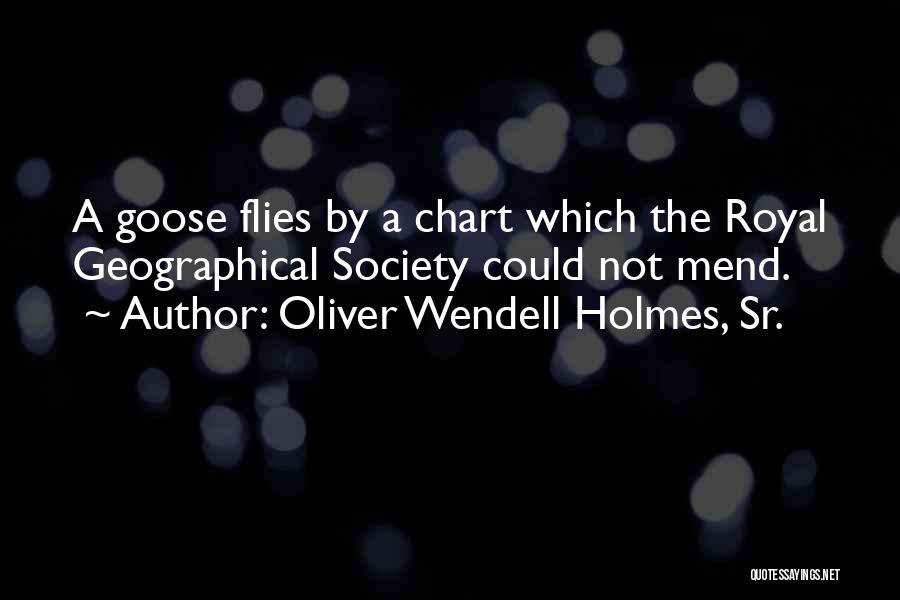 Oliver Wendell Holmes, Sr. Quotes 1716537