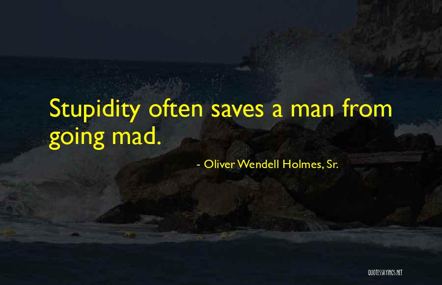 Oliver Wendell Holmes, Sr. Quotes 1878782