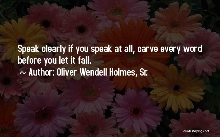 Oliver Wendell Holmes, Sr. Quotes 1896107