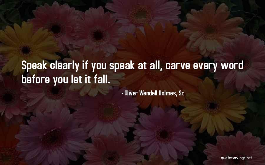 Oliver Wendell Holmes, Sr. Quotes 1896107 Oliver Wendell Holmes, Sr. Quotes 1896107