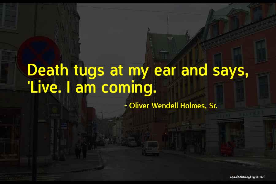 Oliver Wendell Holmes, Sr. Quotes 709918