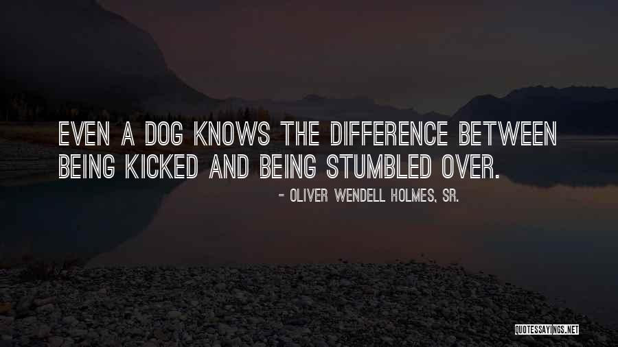 Oliver Wendell Holmes, Sr. Quotes 742871