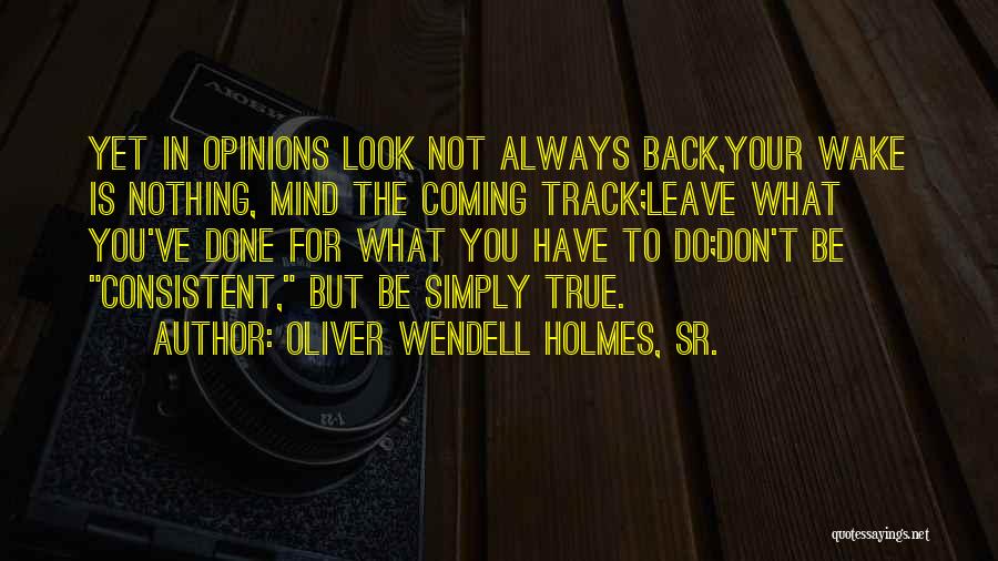 Oliver Wendell Holmes, Sr. Quotes 786506