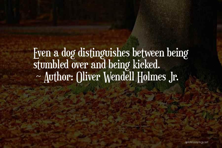 Oliver Wendell Quotes By Oliver Wendell Holmes Jr.