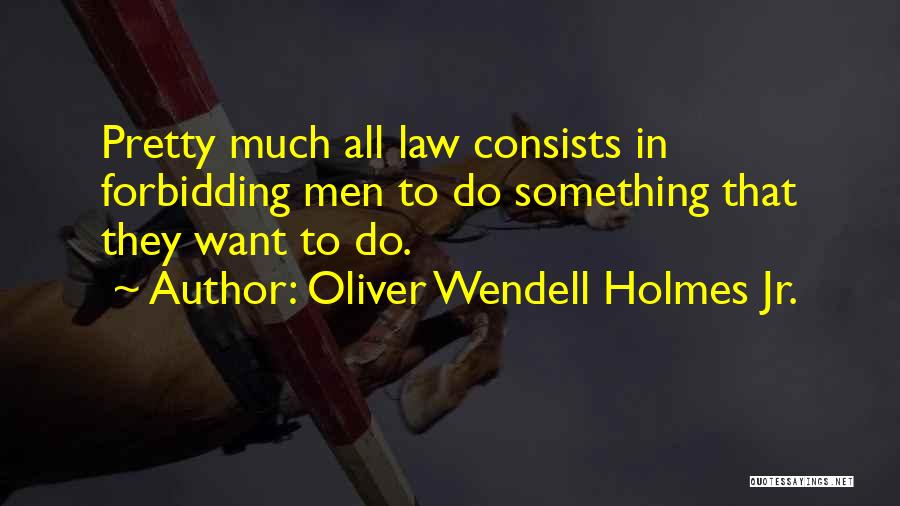 Oliver Wendell Quotes By Oliver Wendell Holmes Jr.