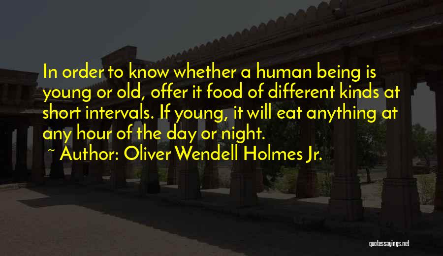 Oliver Wendell Quotes By Oliver Wendell Holmes Jr.