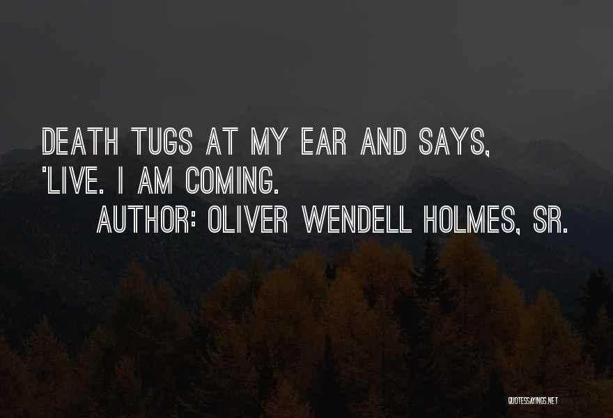 Oliver Wendell Quotes By Oliver Wendell Holmes, Sr.