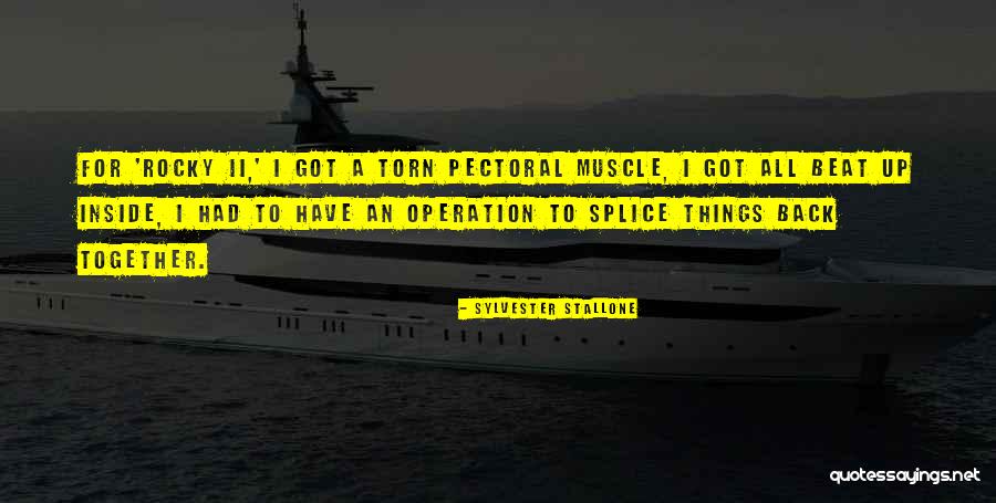 Olivia And Fitz Quotes By Sylvester Stallone Olivia And Fitz Quotes By Sylvester Stallone