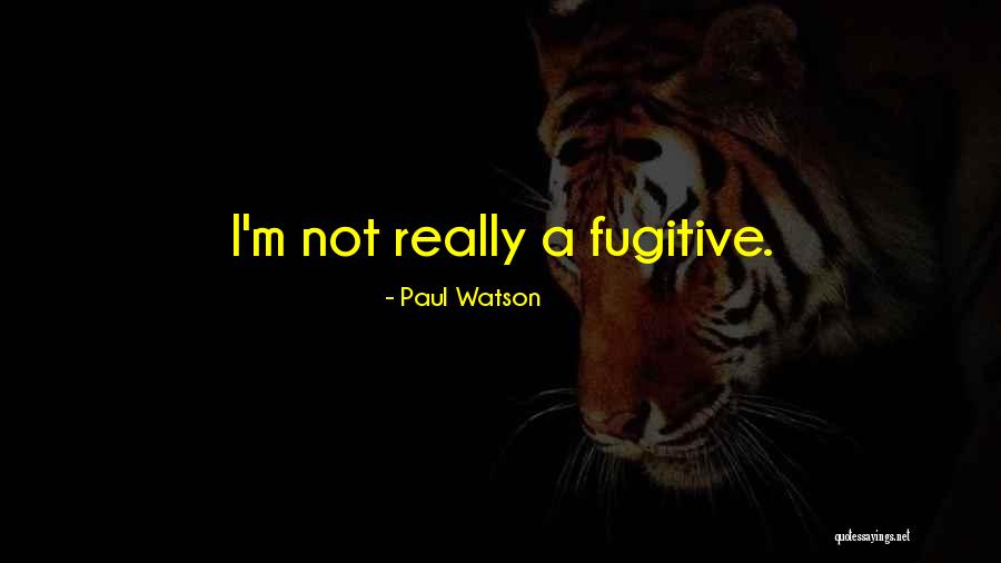 Olivia De Havilland 2020 Quotes By Paul Watson Olivia De Havilland 2020 Quotes By Paul Watson