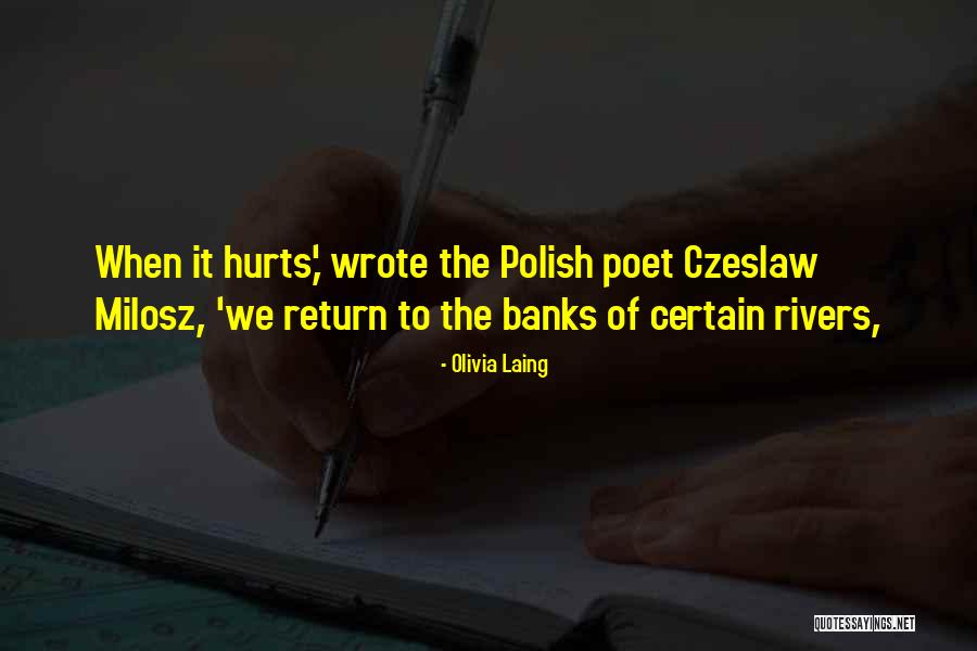 Olivia Laing Quotes 1663735 Olivia Laing Quotes 1663735