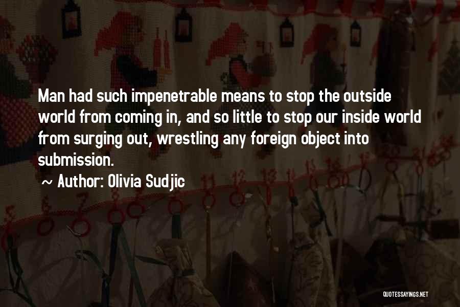 Olivia Sudjic Quotes 1645025