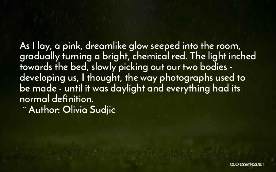 Olivia Sudjic Quotes 1830709