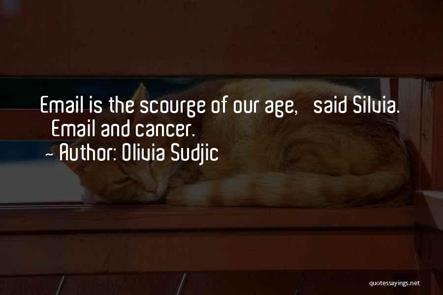 Olivia Sudjic Quotes 1996695