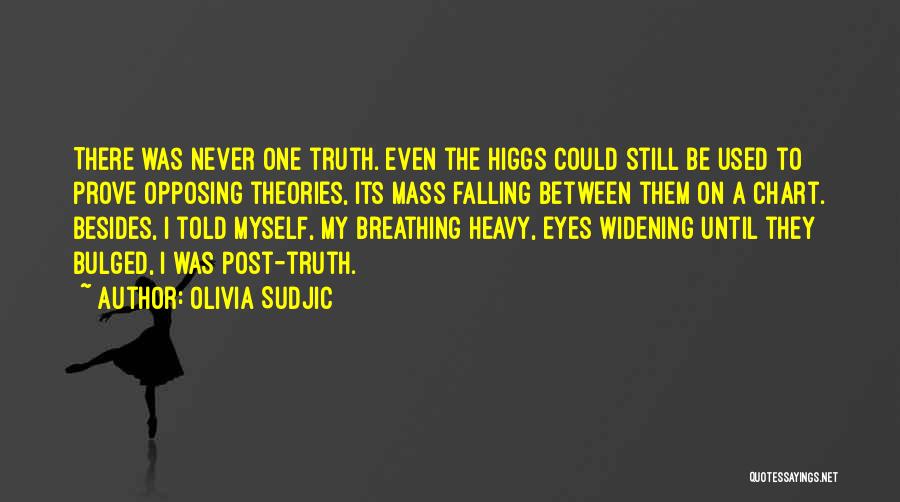 Olivia Sudjic Quotes 2010454