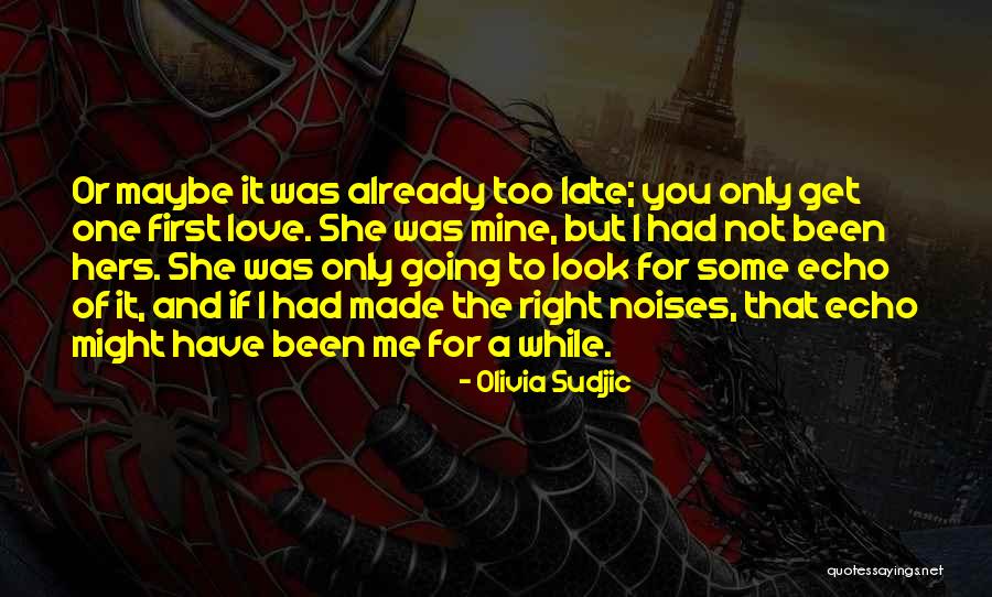 Olivia Sudjic Quotes 2035136 Olivia Sudjic Quotes 2035136