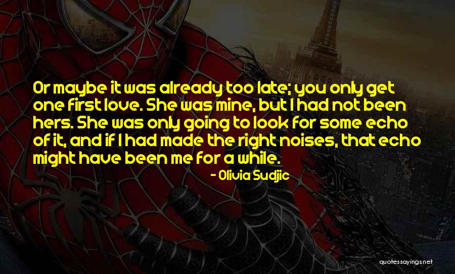 Olivia Sudjic Quotes 2035136