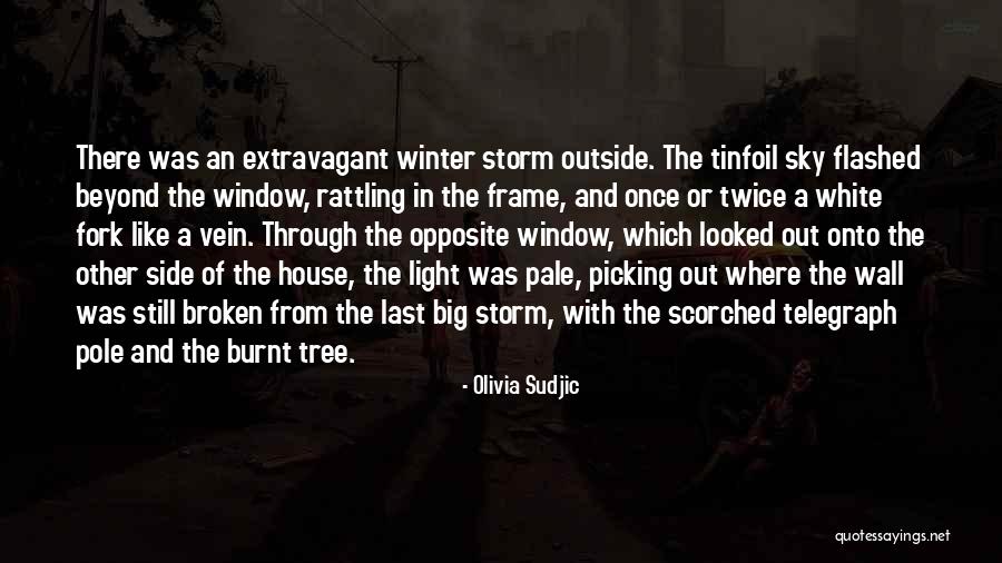 Olivia Sudjic Quotes 699411 Olivia Sudjic Quotes 699411