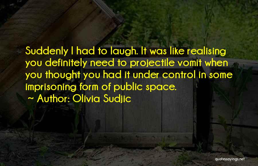 Olivia Sudjic Quotes 833814