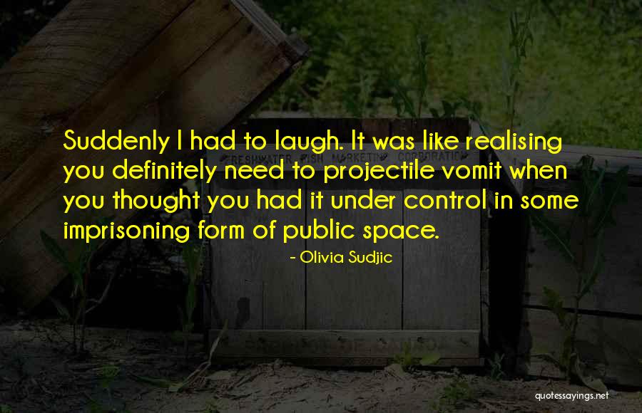 Olivia Sudjic Quotes 833814