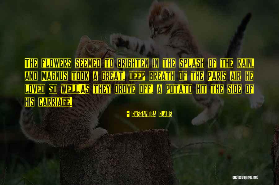 Olivieros Douglassville Quotes By Cassandra Clare Olivieros Douglassville Quotes By Cassandra Clare