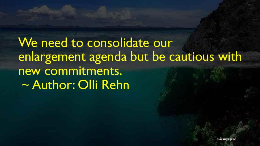 Olli Rehn Quotes 811015