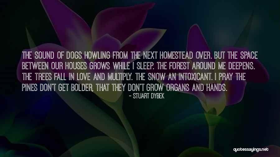 Oloron France Quotes By Stuart Dybek Oloron France Quotes By Stuart Dybek
