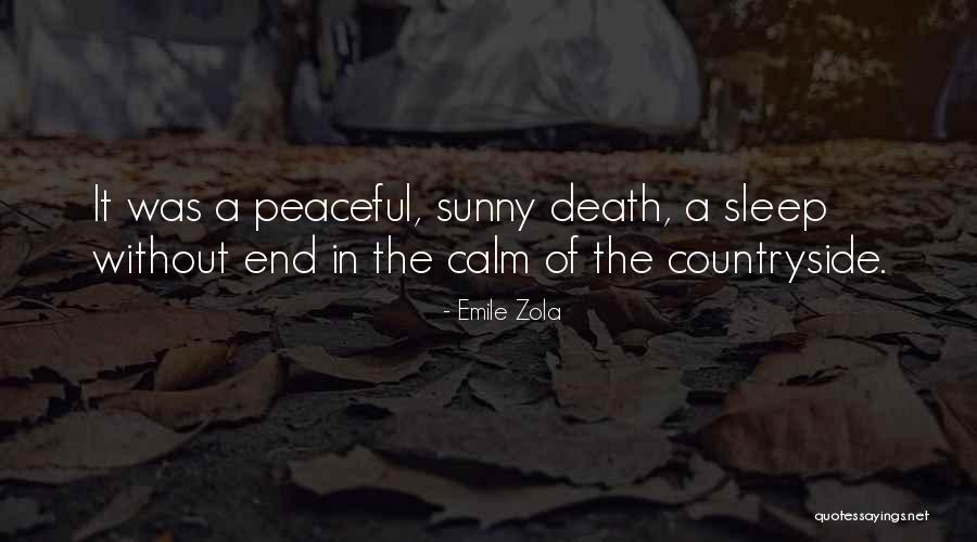 Olorunfemi Ojo Quotes By Emile Zola Olorunfemi Ojo Quotes By Emile Zola
