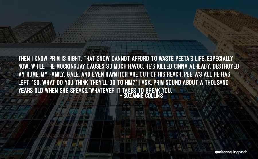 Oloughlins Rochester Quotes By Suzanne Collins Oloughlins Rochester Quotes By Suzanne Collins